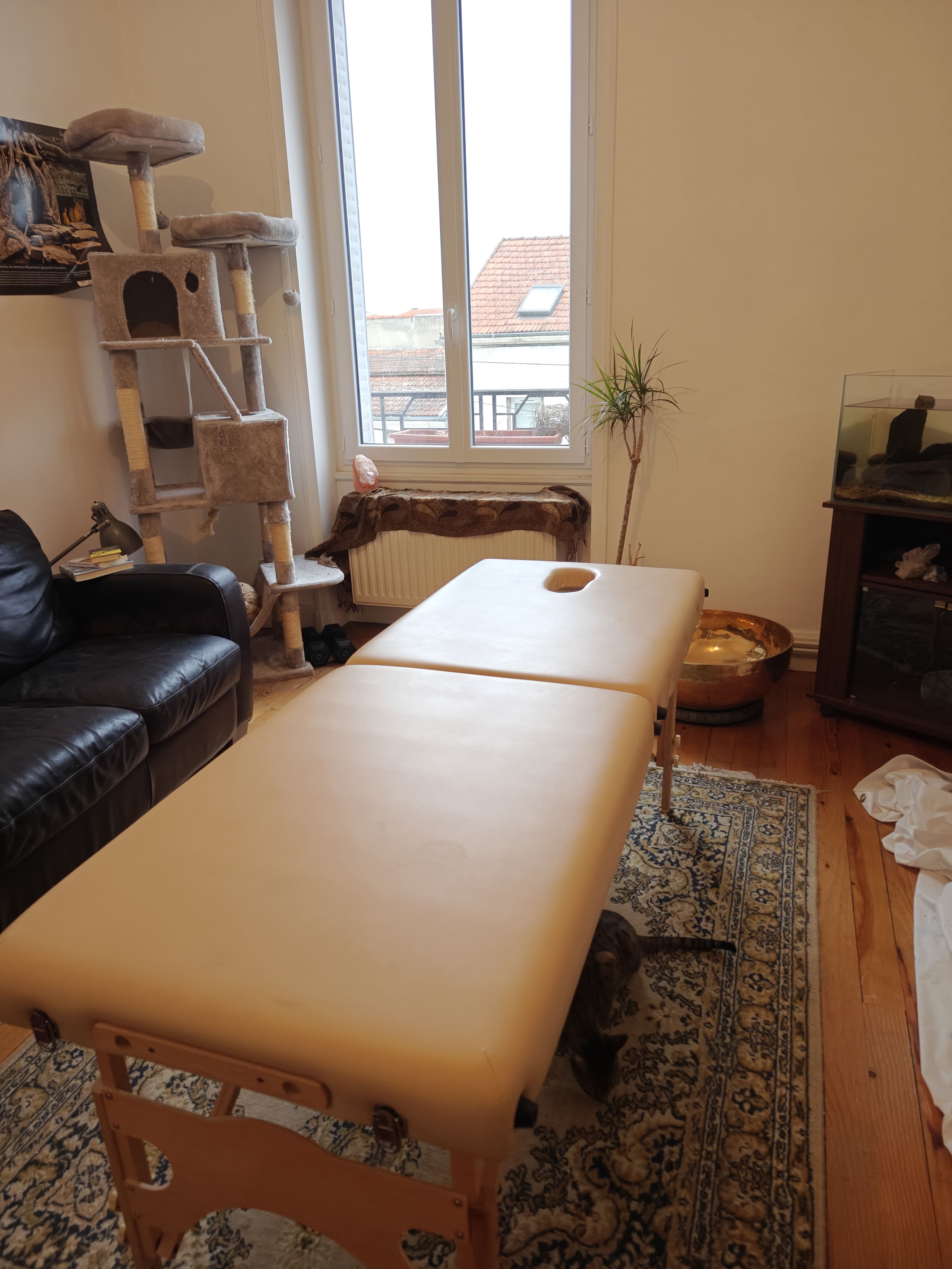 Tapis de pratique